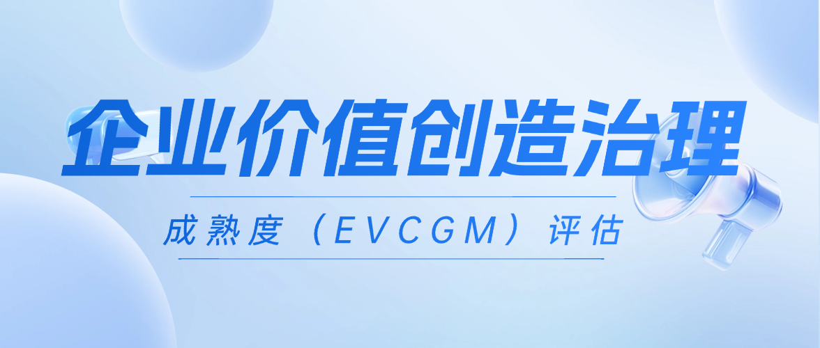 成熟度（EVCGM）概述 - 小.png